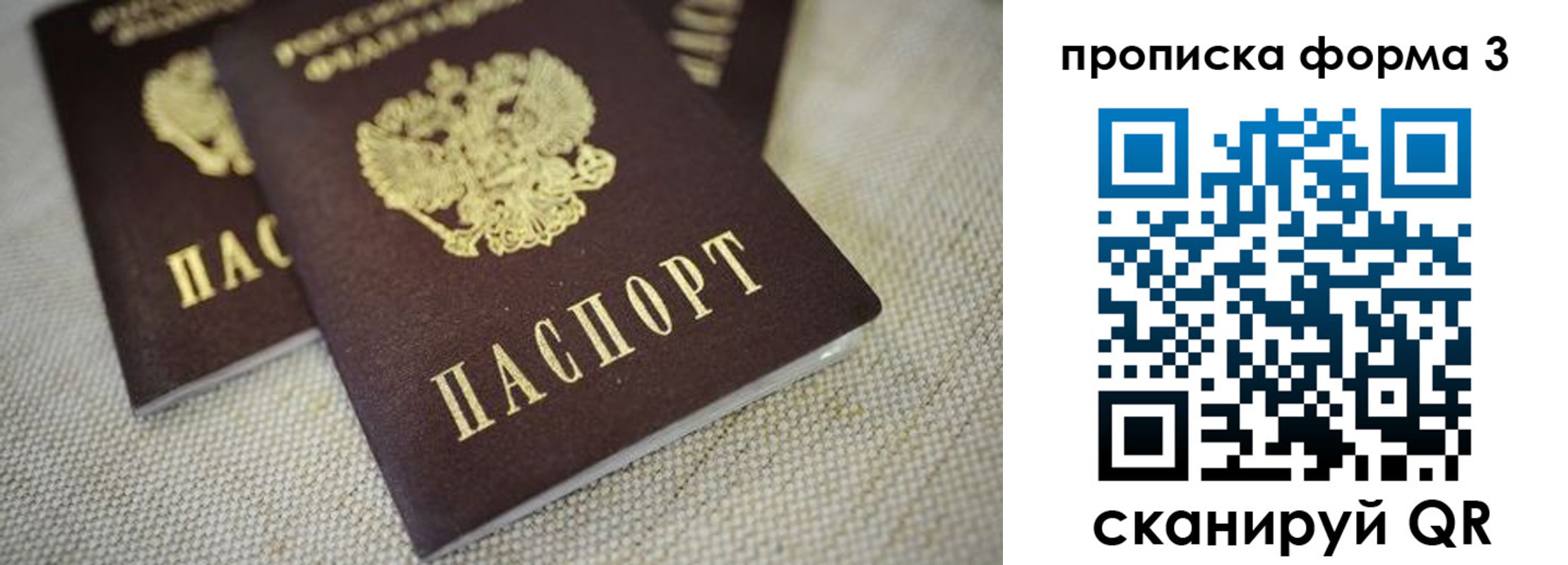 прописка поиск в Марий Эл